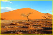 Namibia-026