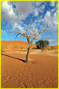 Namibia-031