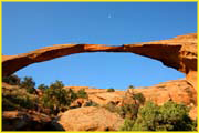 Arch