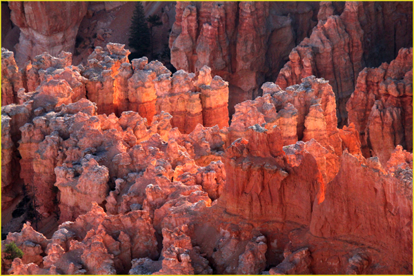 Bryce-004