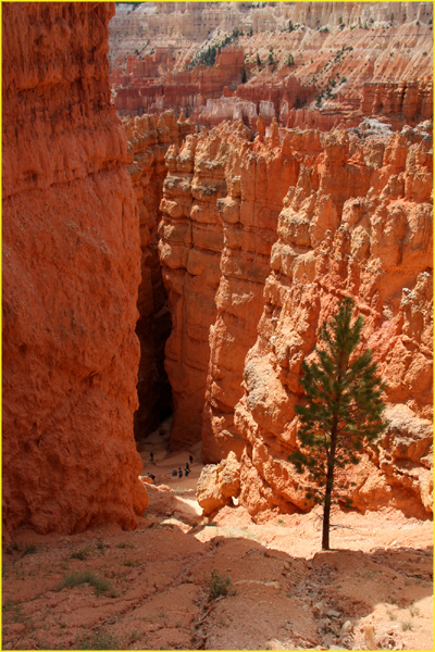 Bryce-018