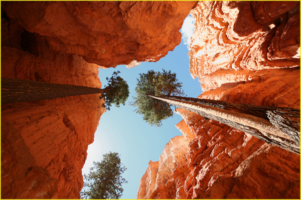 Bryce-021
