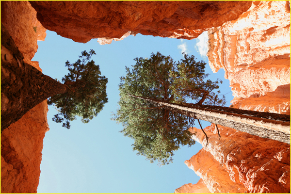 Bryce-022