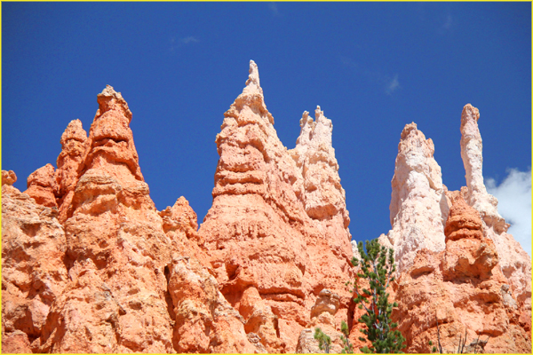 Bryce-023