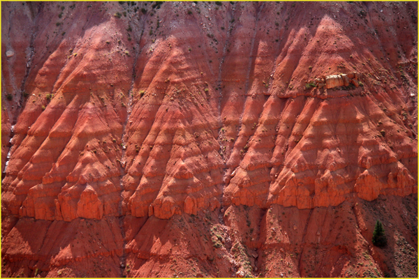 Bryce-029