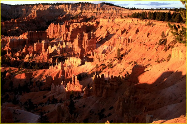 Bryce