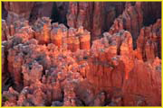 Bryce-004
