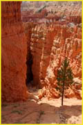 Bryce-018