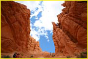 Bryce-019