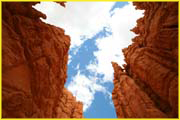 Bryce-020