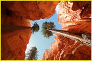 Bryce-021