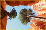 Bryce-022