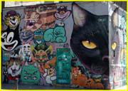Columbia graffiti-050