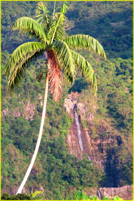 FijiVanuatuMain-003