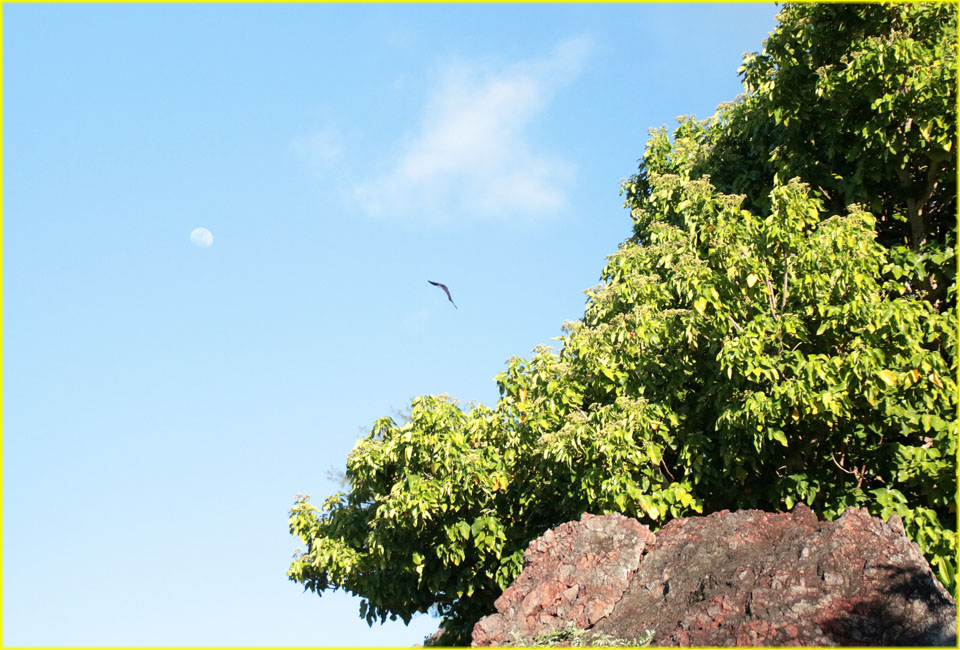 FijiVanuatuMain-004