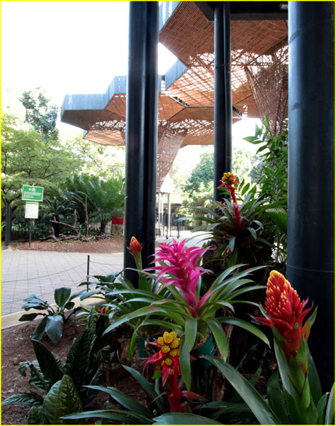 Flowers-057