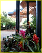 Flowers-057