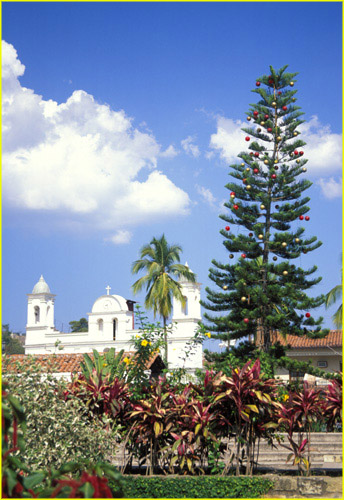 12b Copan Ruinas - Main Square