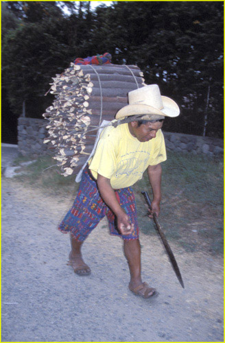 56 Santa Catarina Palopo - men at work