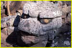 29 Copan - aligator head