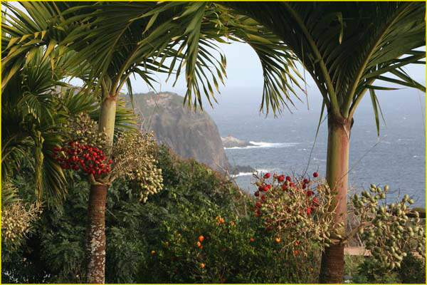 Hawaii select-30