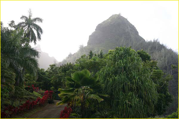 Hawaii select-37