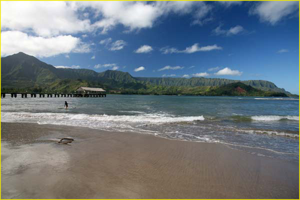 Hawaii select-41