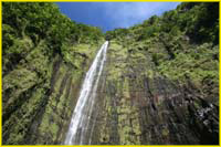 Hawaii select-25