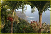 Hawaii select-30