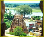 020a Tirumayam fort - gopura