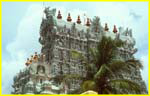 026b Suchindram gopura 2