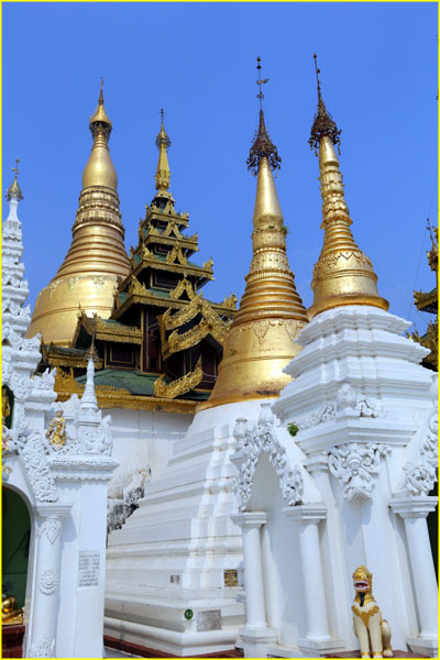 Buddas-011