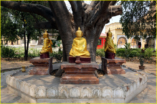 Buddas-018