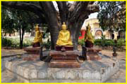 Buddas-018