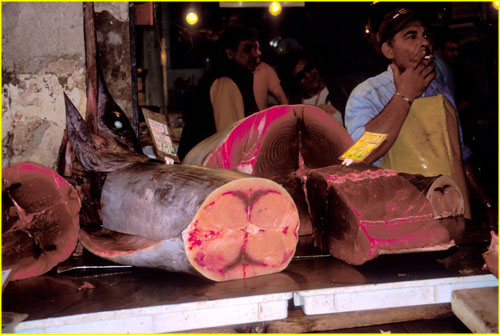 51 Siracusa fish market