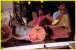 51 Siracusa fish market