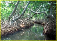 09Kanal