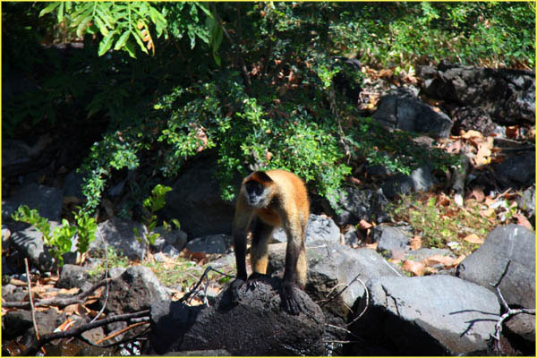 Nicaragua Additional-042