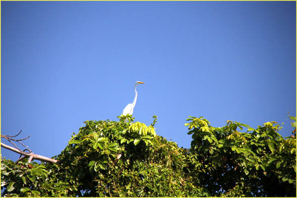 Nicaragua Additional-045