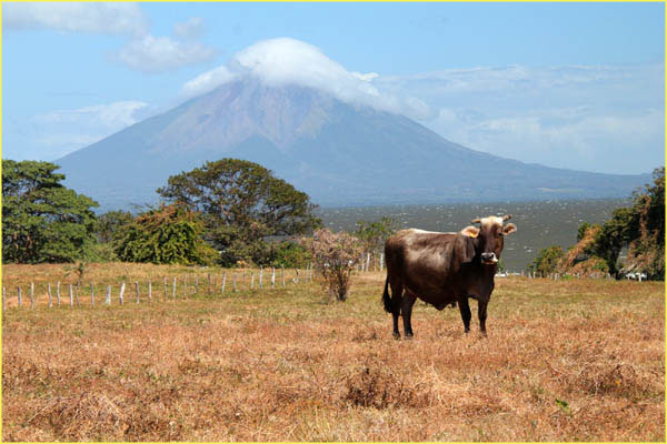 Nicaragua Additional-047