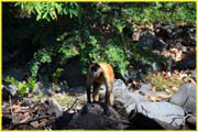 Nicaragua Additional-042