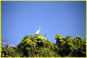Nicaragua Additional-045