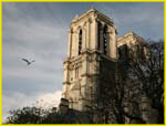 Paris Additional-19
