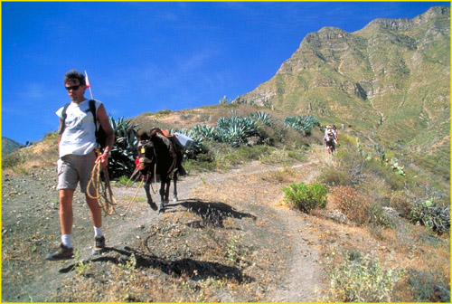 6 Descending to Colca Canyon