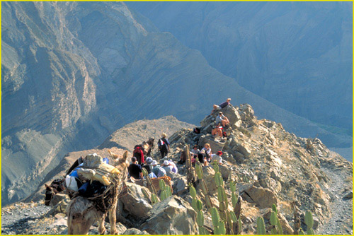 8 Last Rest Stop Before Reaching the Bottom