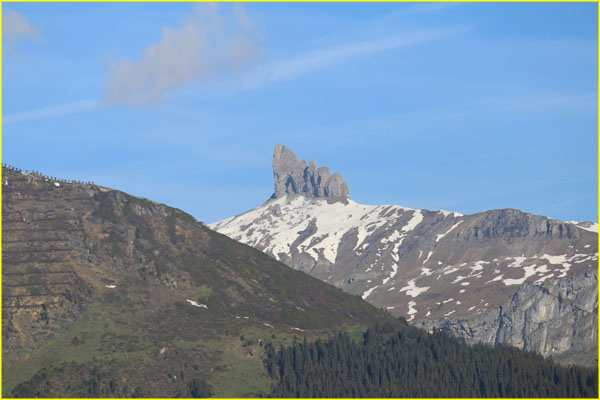 Swiss-032