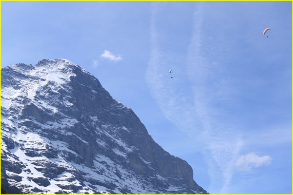 Swiss-038