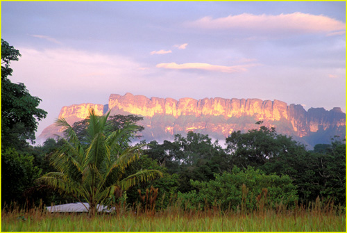 29 Auyi Tepui