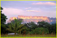 29 Auyi Tepui