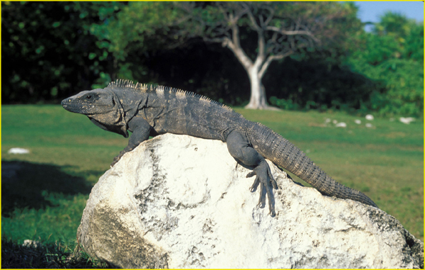 Yucatan Colonial and Nature-35